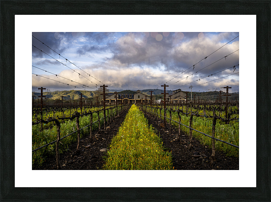 Spring Equinox 2023   2 Picture Frame print