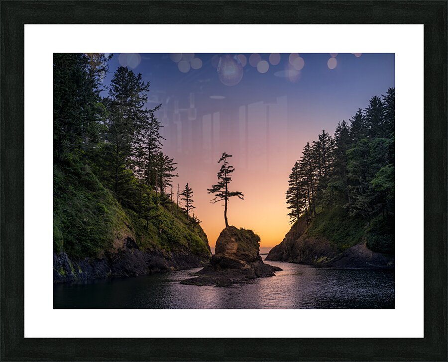 Tenacious Picture Frame print
