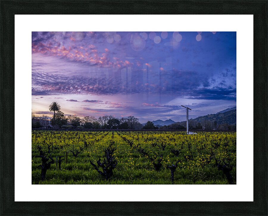 Calistoga Evening Light Picture Frame Printing