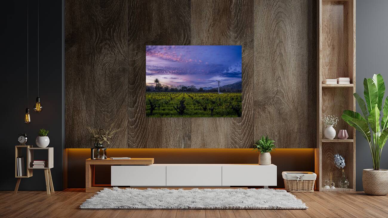 Calistoga Evening Light Reproduction
