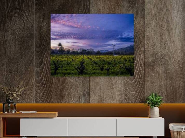 Calistoga Evening Light Reproduction