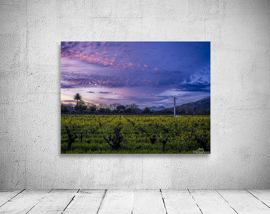 Calistoga Evening Light Wall Preview