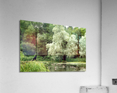 FREEDOM Acrylic Print