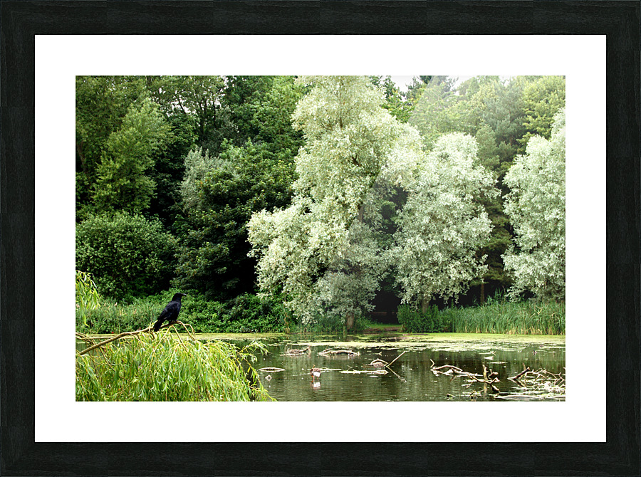 FREEDOM Picture Frame print