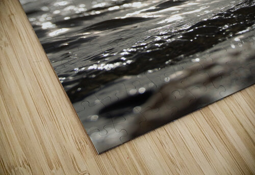 The Sleepy Tide FREVO puzzle