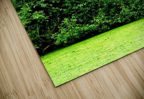  Heron FREVO puzzle