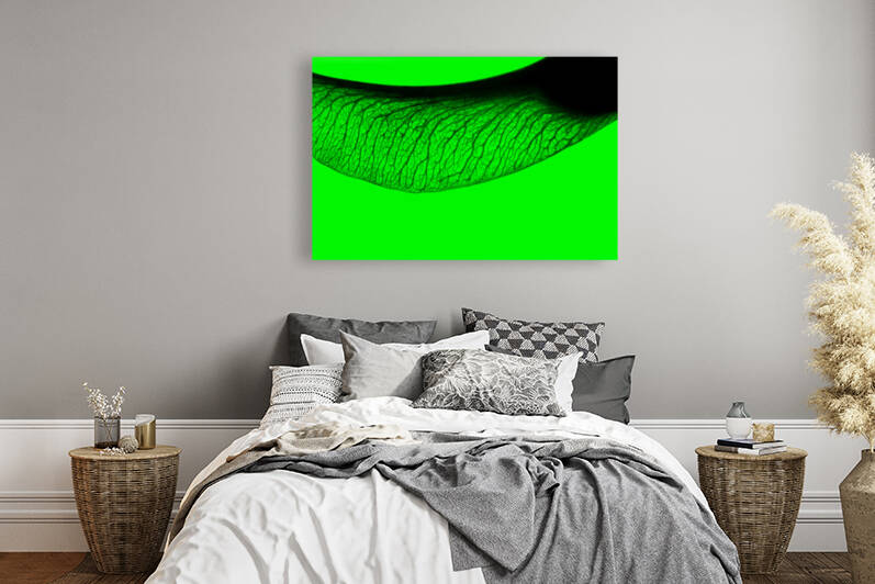 Sycamore Green Period by FREVO