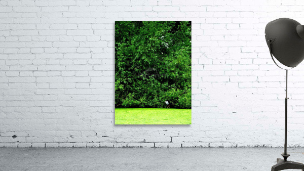  Heron Wall Preview