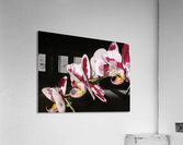 Sexy Orchid Acrylic Print