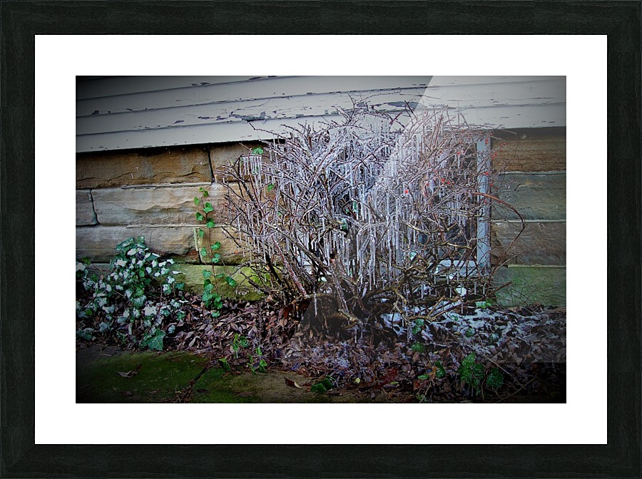 Winter Tears Picture Frame print