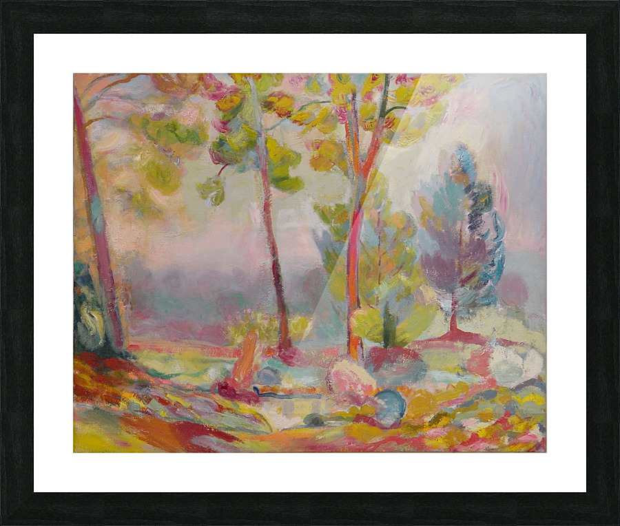 Metascape - Early Version Picture Frame print