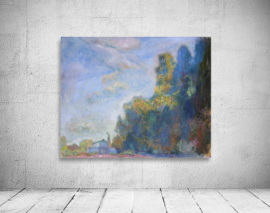 Barn Studio in Shadow - Late Version Wall Preview