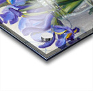 Irises in a Jar Acrylic print