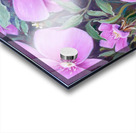 Wild Roses Acrylic print