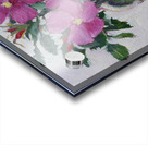 Wild Roses  Acrylic print