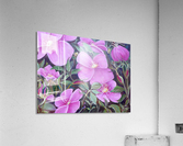 Wild Roses Acrylic Print