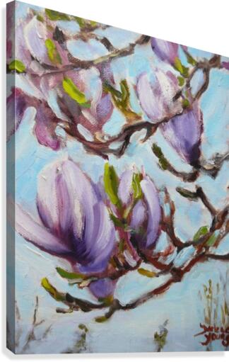 Magnolias Canvas Print