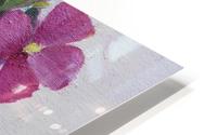 Wild Roses  HD Metal print