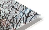 McGill Gates HD Metal print