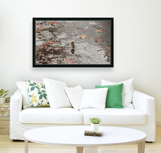 A Sparrows Icy Puddle Reproduction