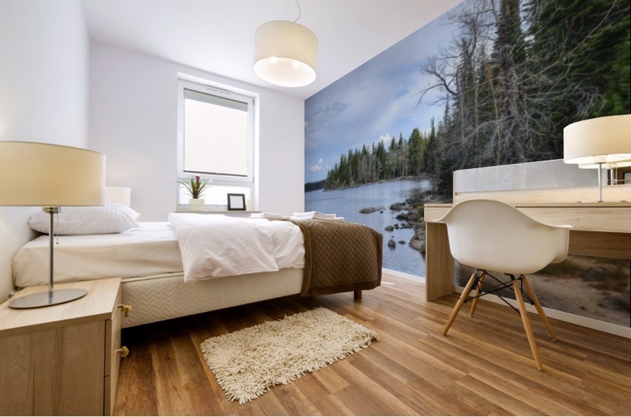 Dream Land Mural print