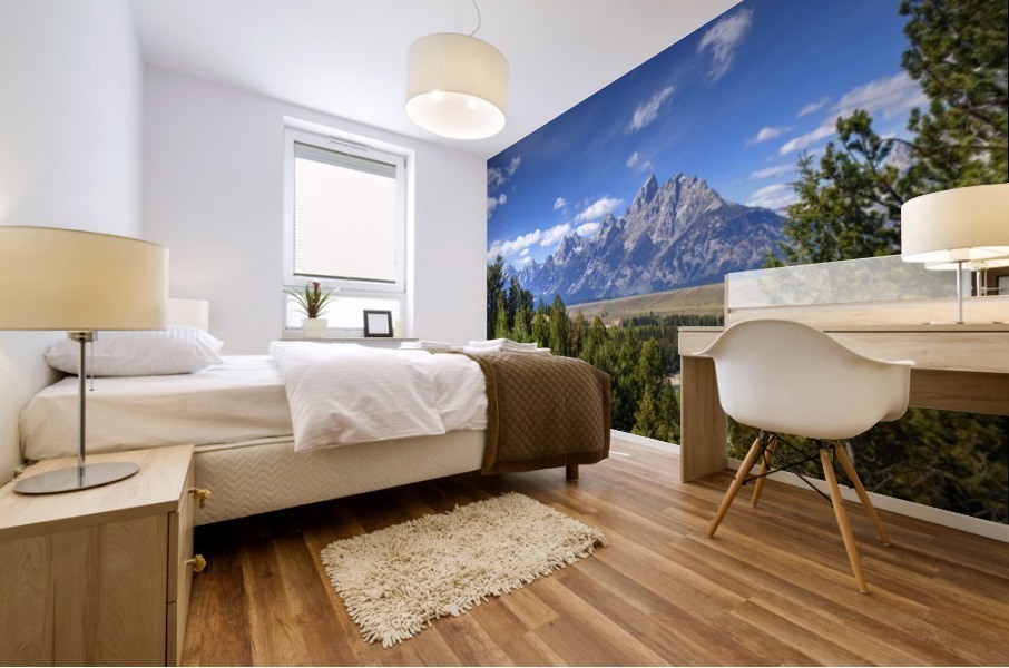 The Grand Cathedral Mural print