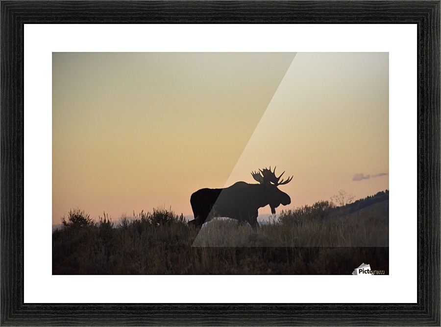 On the move Picture Frame print