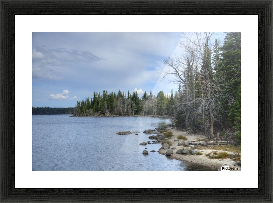 Dream Land Picture Frame print