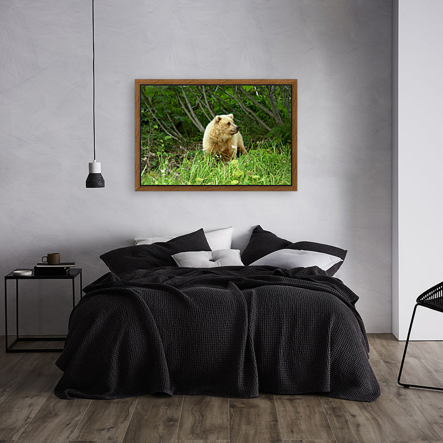 Two Year Old Grizzly Reproduction