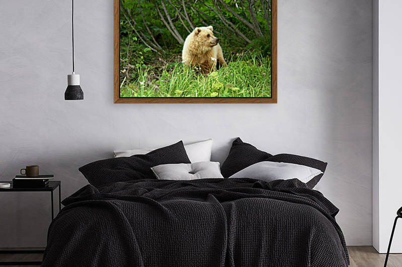 Two Year Old Grizzly Reproduction