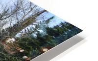 Dream Land HD Metal print
