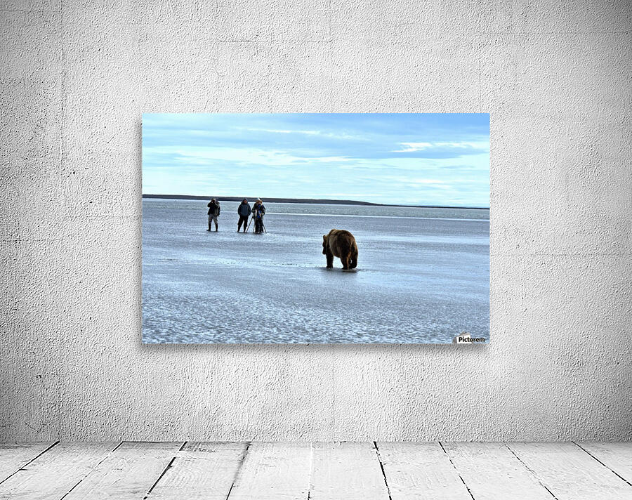 Stay Calm Wall Preview