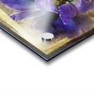 Blue Peony Acrylic print