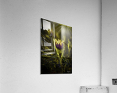 CrocusArtsy Acrylic Print