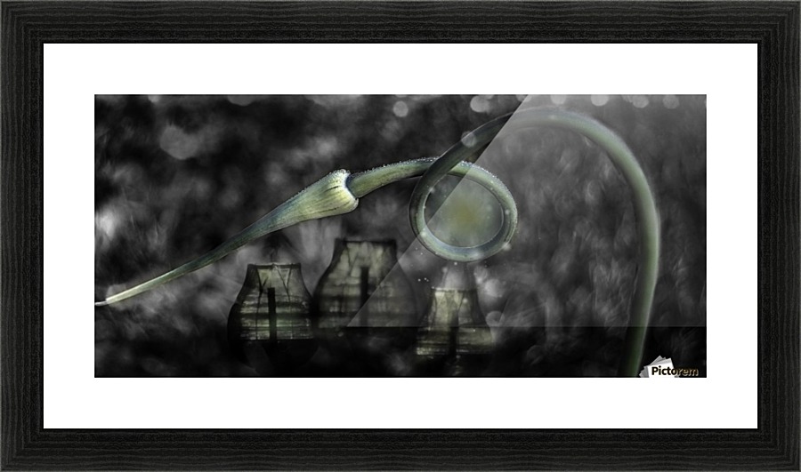 Garlic Lanterns Picture Frame print