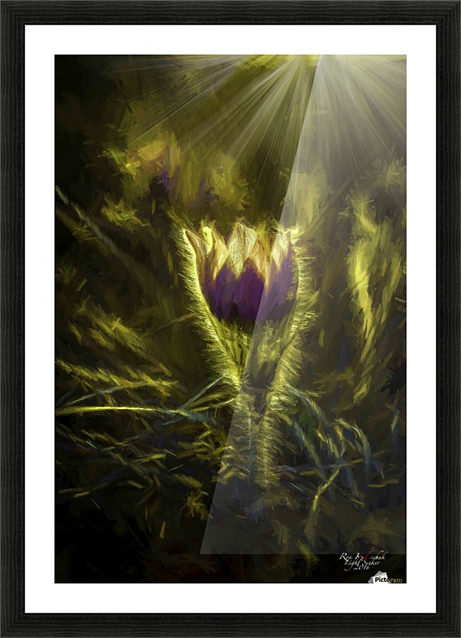 CrocusArtsy Picture Frame print