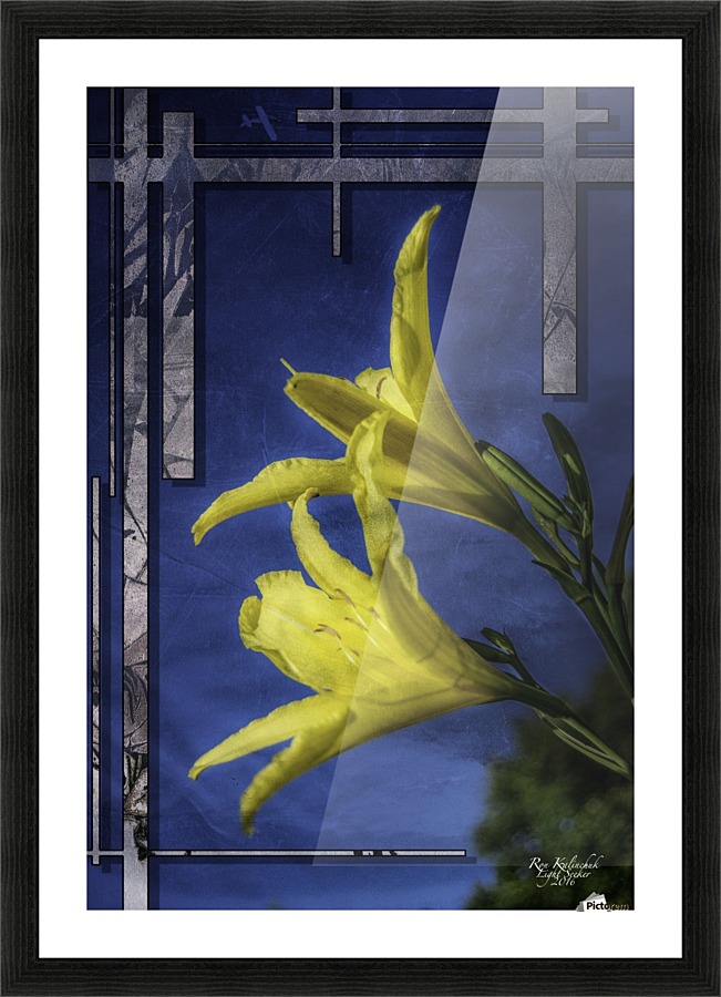 YellowDayLilies2 Picture Frame print