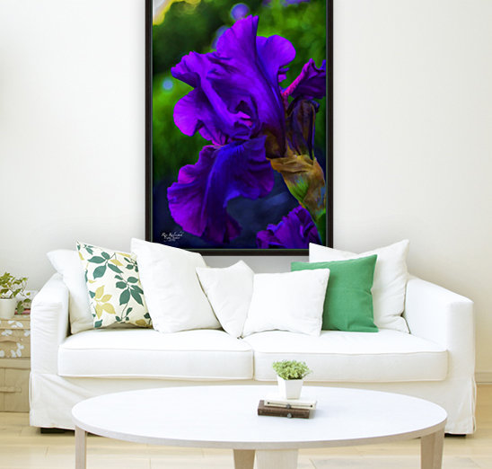 Purple Iris2 Reproduction