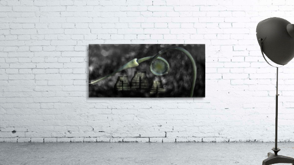 Garlic Lanterns Wall Preview