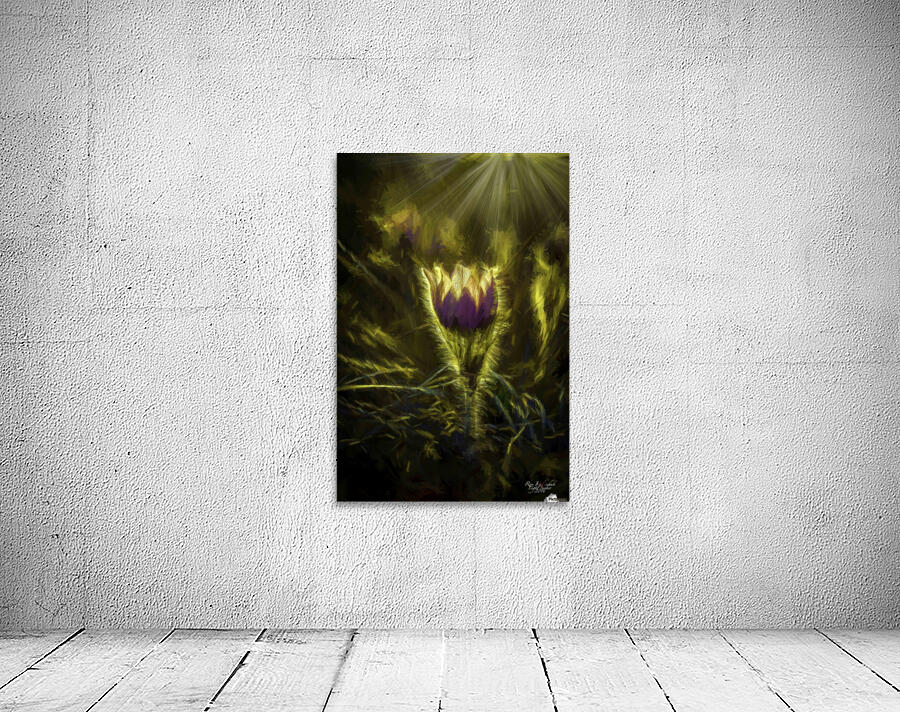 CrocusArtsy Wall Preview