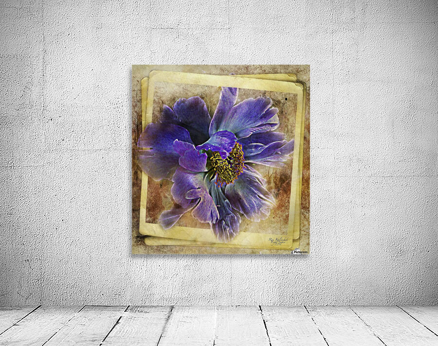 Blue Peony Wall Preview