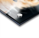 A fluffy orange cat with metal glasses frame is peacefully napping on a notebook. Its eyes are closed creating a serene atmosphere in a warm and inviting indoor space. Acrylic print