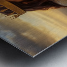 Jesus Christ in regal attire standing on a hill at sunset contemplating nature and spirituality Metal print