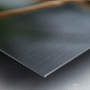 A cute kitten sits amidst Easter eggs in a basket. Metal print