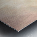 Children holding a heart balloon in a flower filled garden during a warm day Metal print