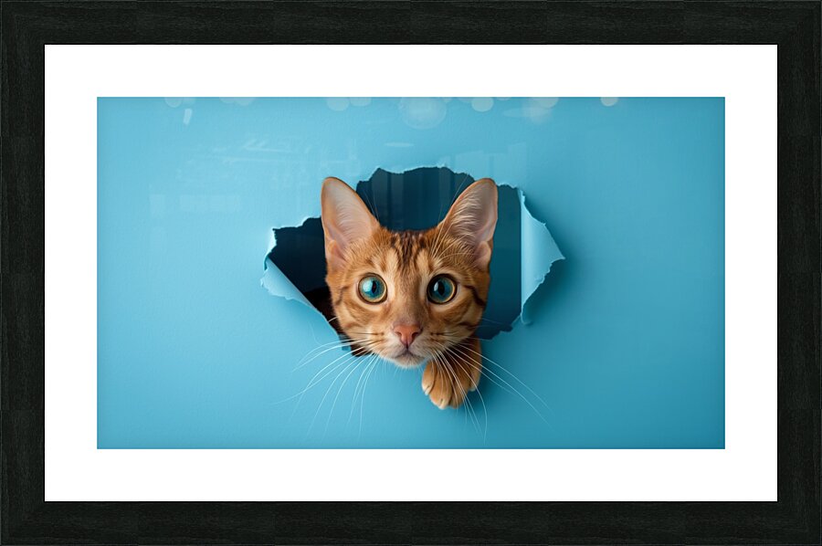 Curious Cat Peeking Through Blue Wall Hole Picture Frame print