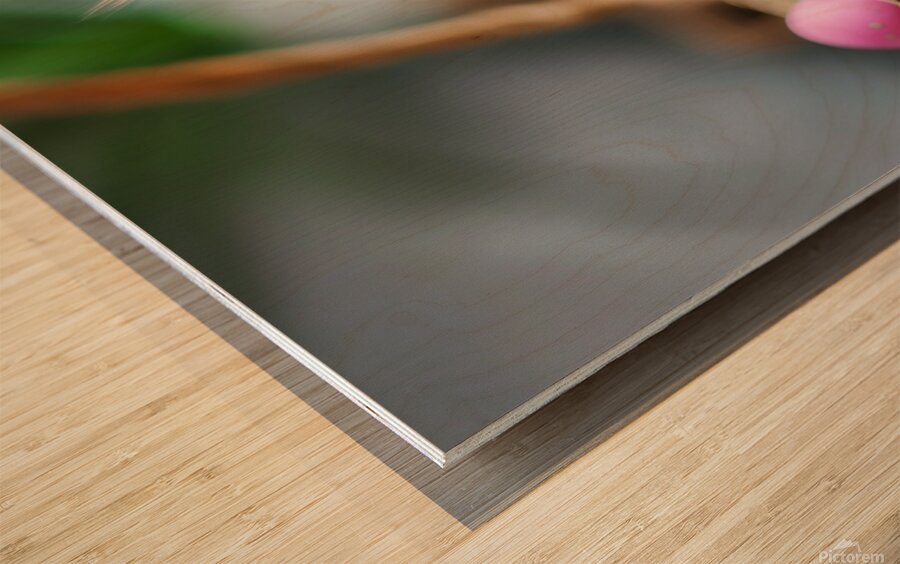 A cute kitten sits amidst Easter eggs in a basket. Wood print