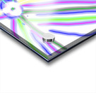 4E5B88FA C099 4649 B972 C38F34CB845F Acrylic print