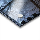 9ED766C3 ED1B 4B47 94A5 1756739BD025 Acrylic print