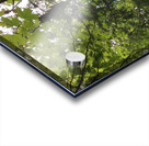 E5A1D5D7 F7D3 40D3 BA47 071C727454C0 Acrylic print